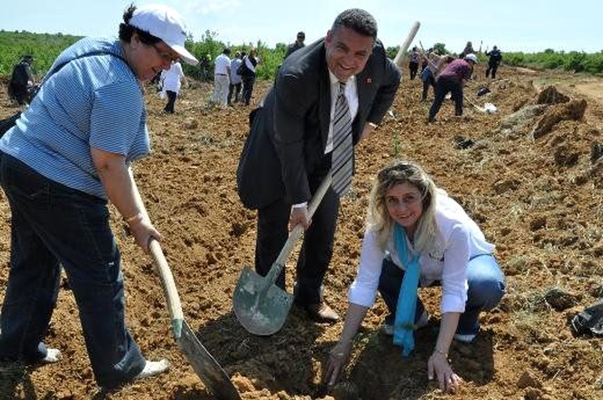 Kent Konseyi Kadın Meclisi Fidanları Toprakla Buluşturdu
