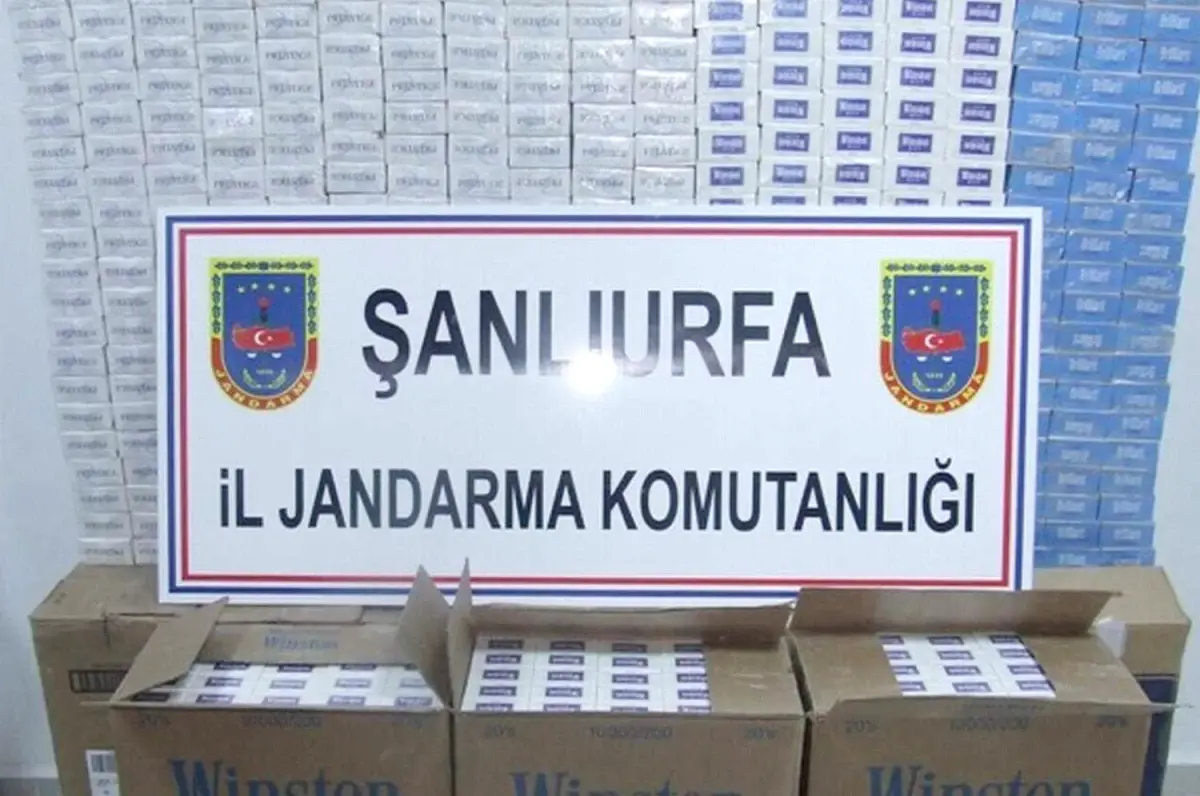 Şanlıurfa\'da 421 Kök Kenevir ile 9 Bin 740 Paket Kaçak Sigara Ele Geçirildi