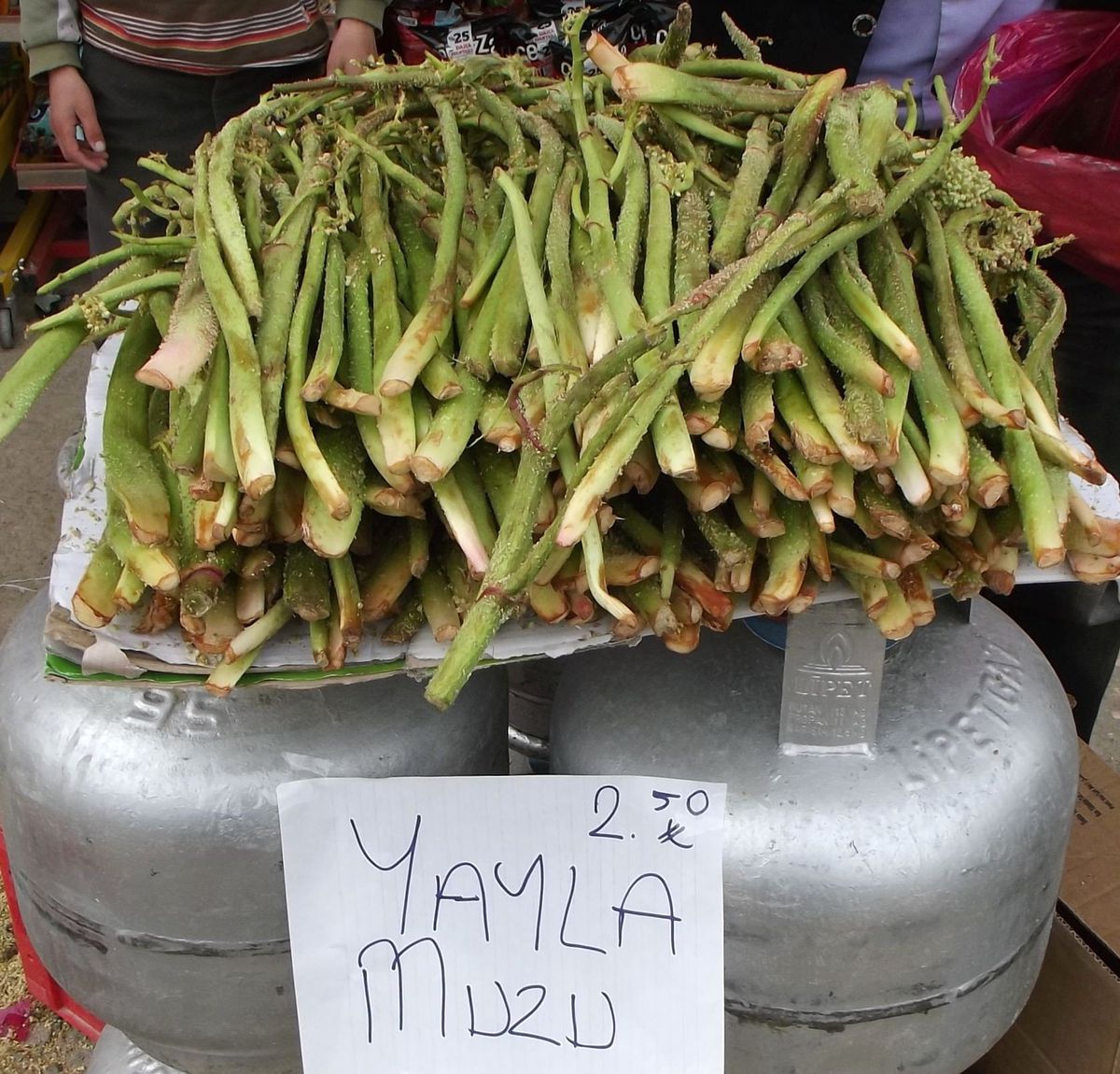 Uçkun Bitlis'in Hizan ve Tatvan İlçelerinde Piyasaya Çıktı
