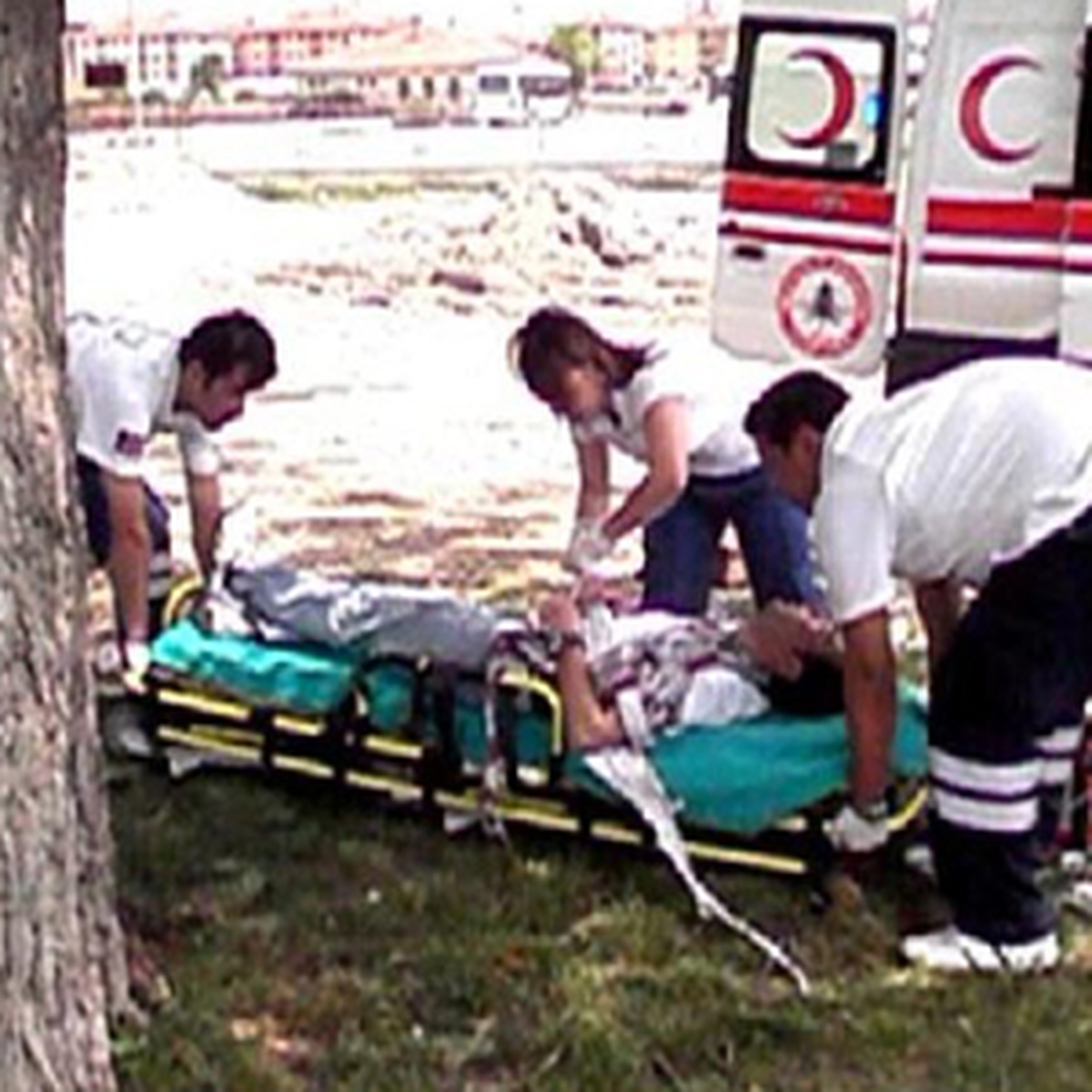 Yağmurdan Kaçtılar, Yıldırım Çarptı