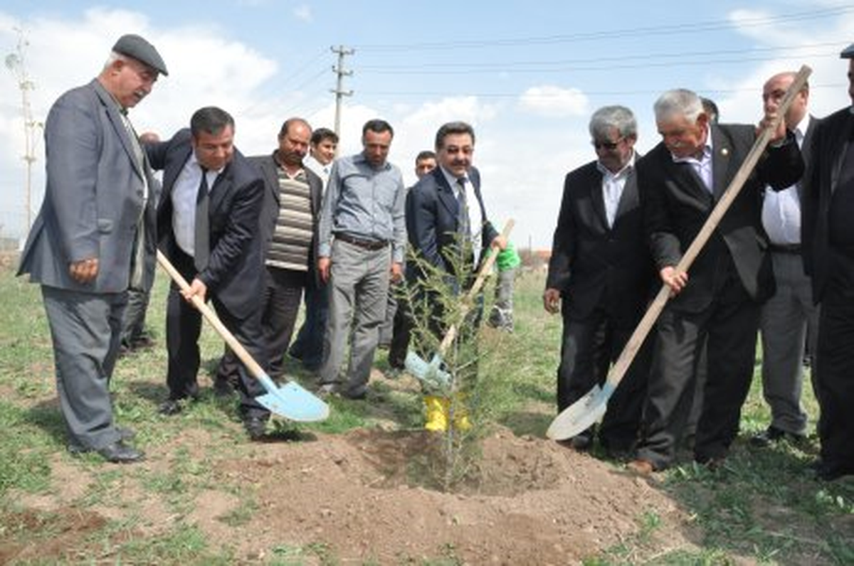 Yeşil Karaali Seferberliği