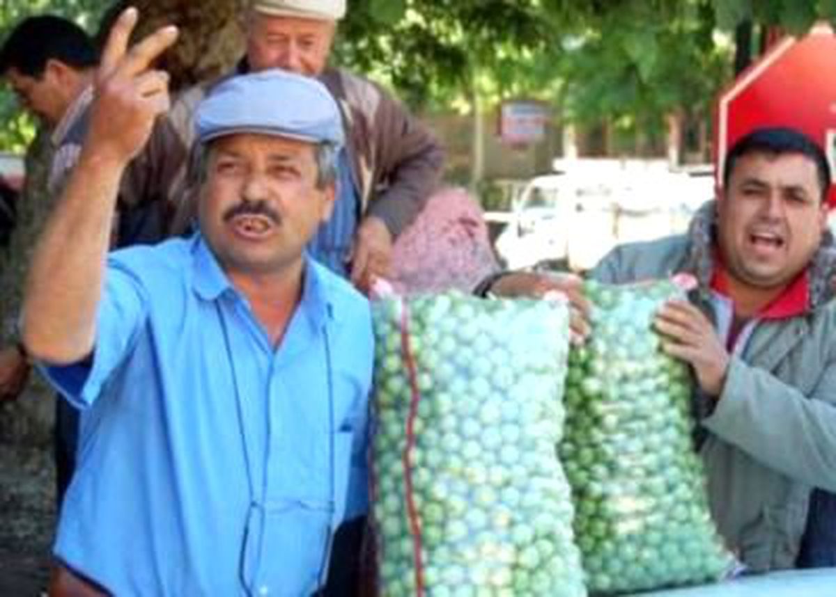 Bir Ay Önce Kilosu 200 TL İdi, Şimdi Koyunlara Yem Oldu