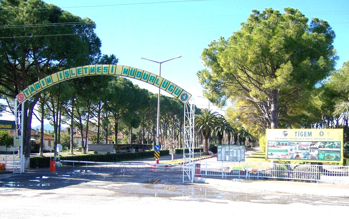 Dalaman Tigem Arazilerine Kiraya Veriyor