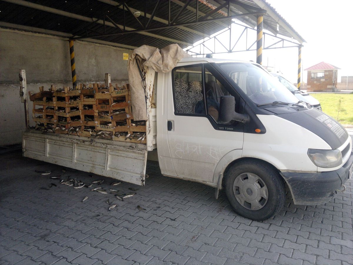 Kaçak Avlanmaya Jandarma Engeli