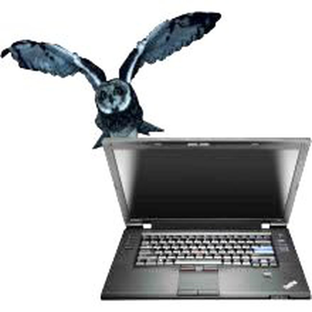 Lenovo, Baykuşlardan İlham Alıyor!
