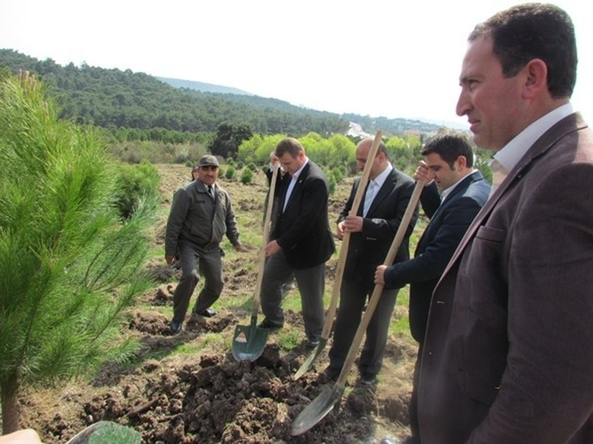 Milletvekillerinden Hatıra Ormanı