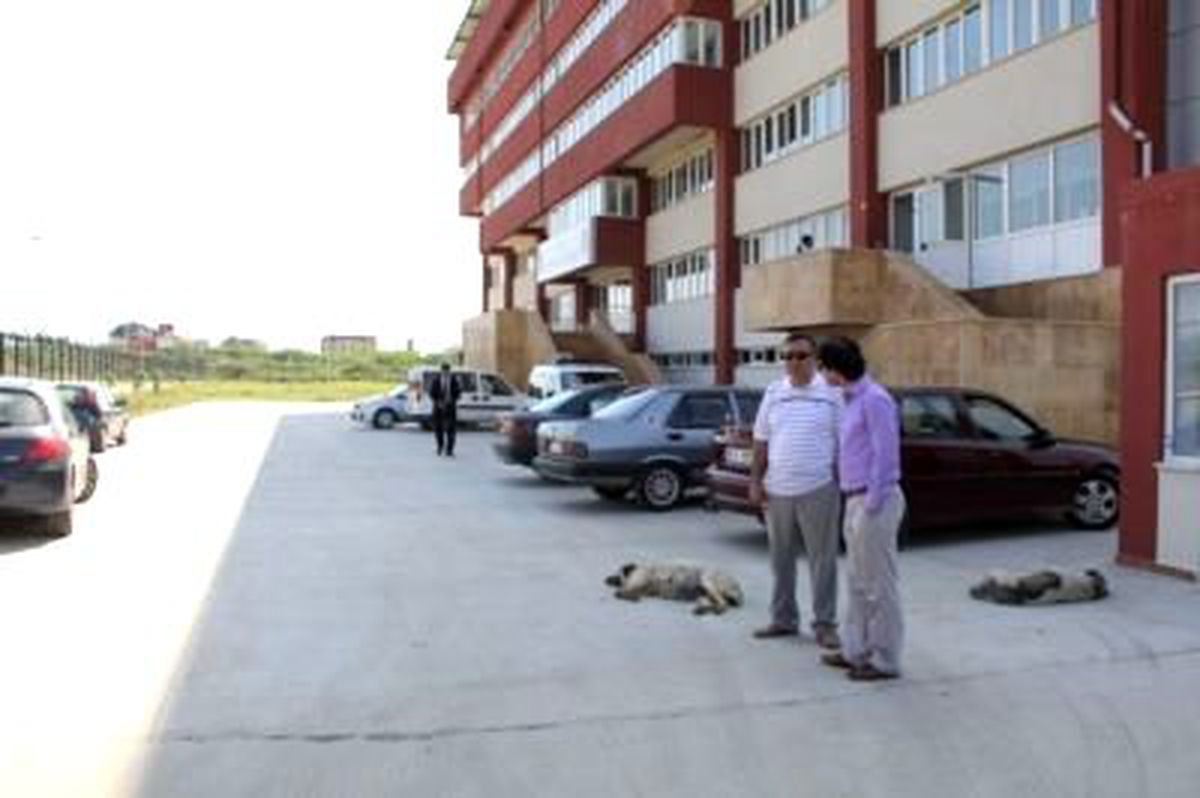 Aydın'da Şok Operasyon
