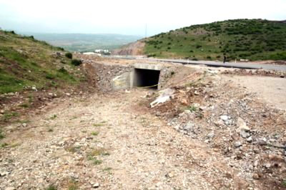 Çoban, Lav Silahı Buldu