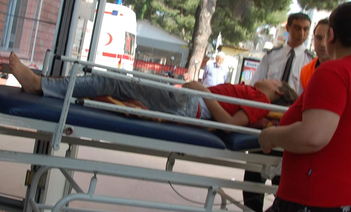 Dut Ağacından Düşerek Ağır Yaralandı
