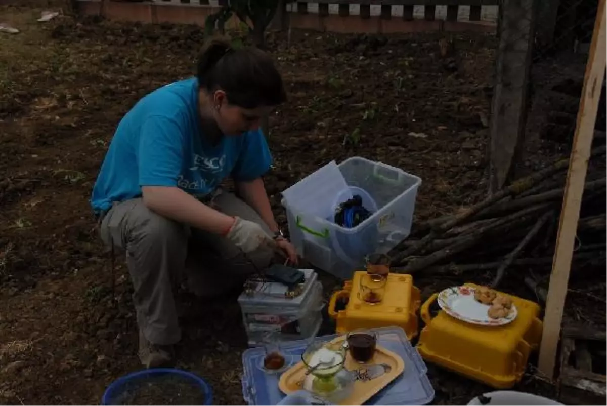 Kuzey Anadolu Fay Hattı, Sakarya'dan Dinlenecek