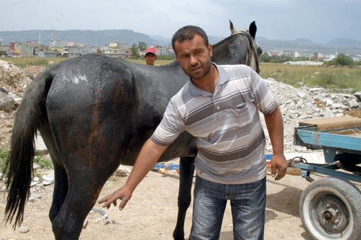 Atları Diri Diri Yakmaya Çalıştılar