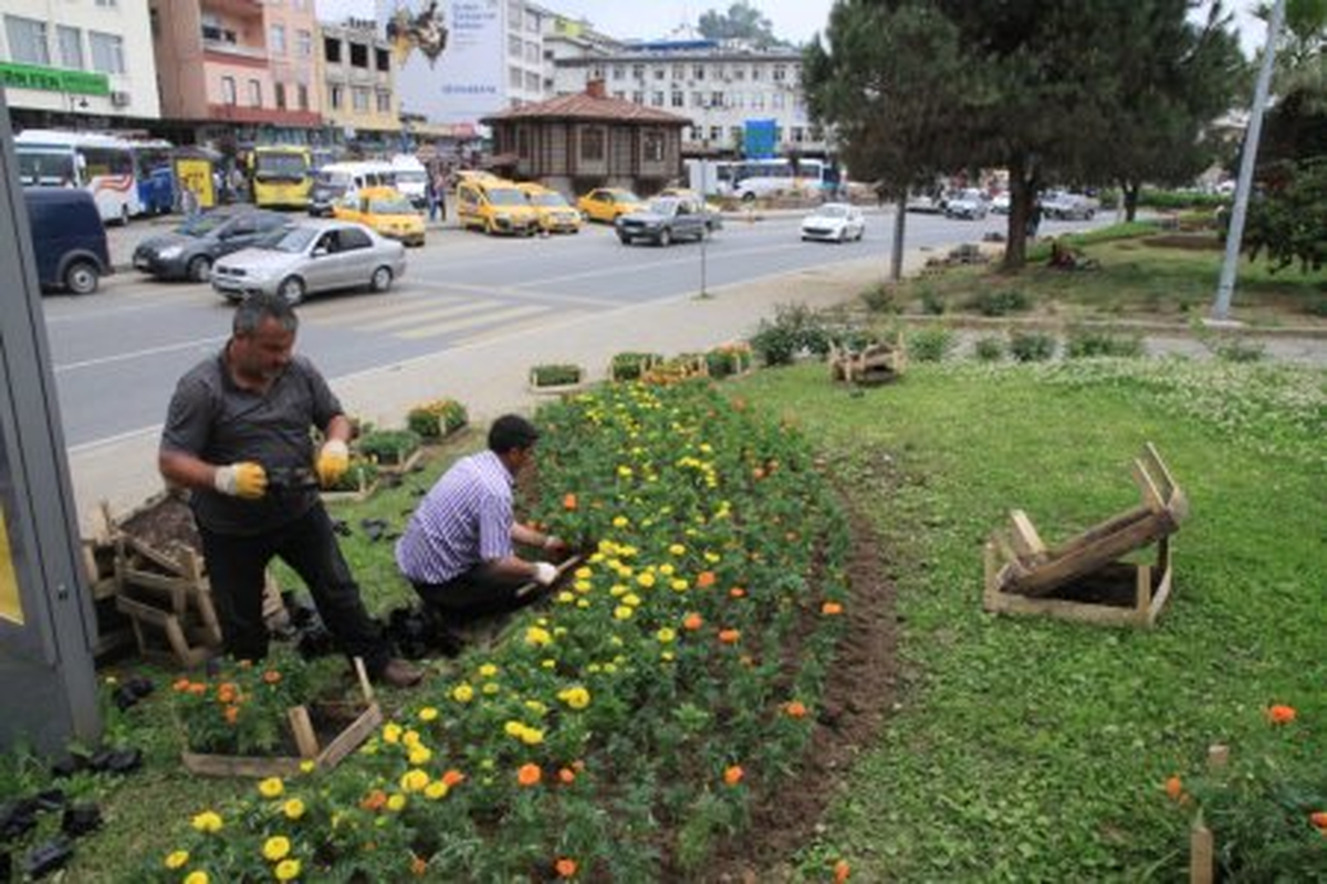 2012 Çiçek Dikimi Sezonunu Açıldı