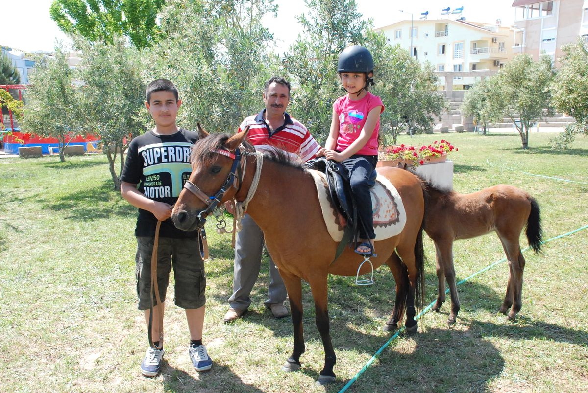 Didimli Minik Öğrencileri At Heyecanı