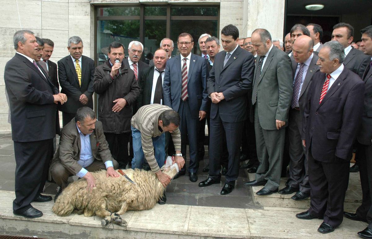 DP\'de Uysal Dönemi
