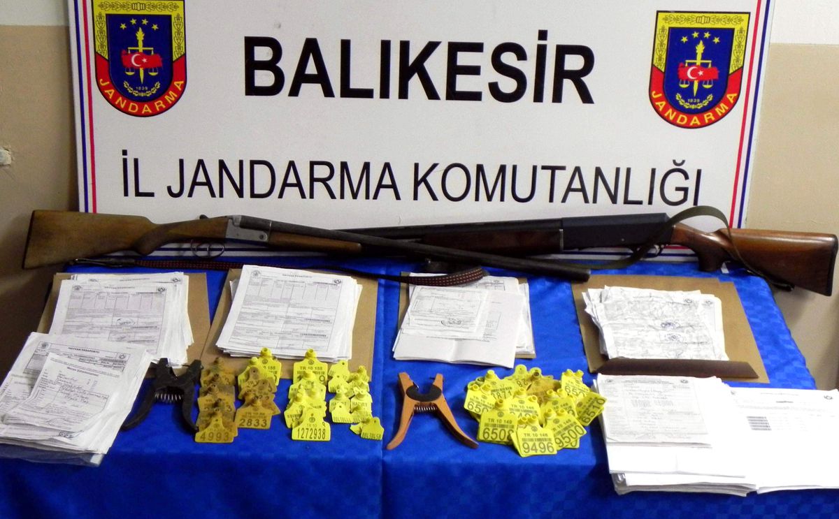 Jandarmanın "Mavi Vurgun" Operasyonunda 24 Şüpheli Tutuklandı