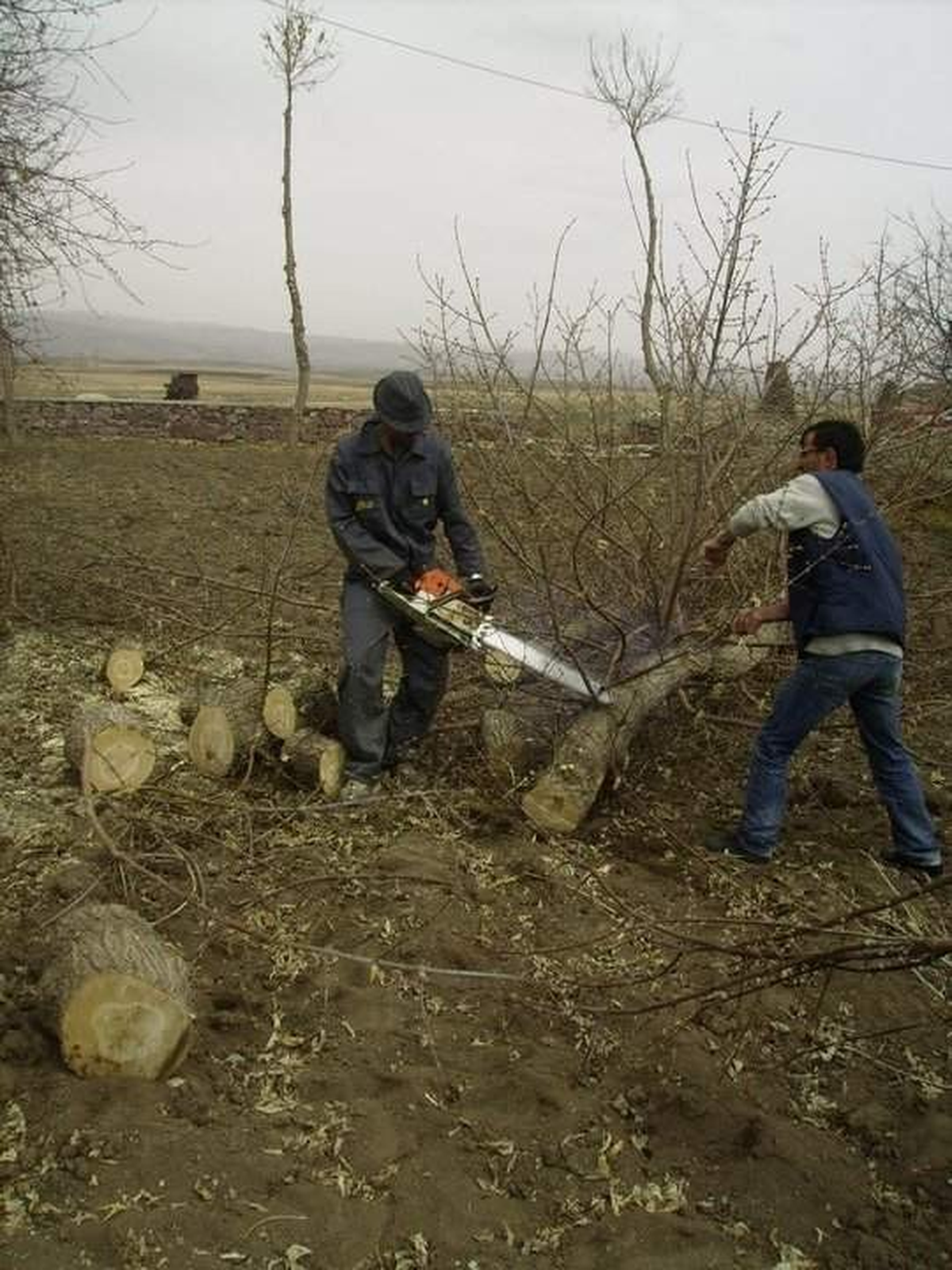 Köylülerin Karga İsyanı