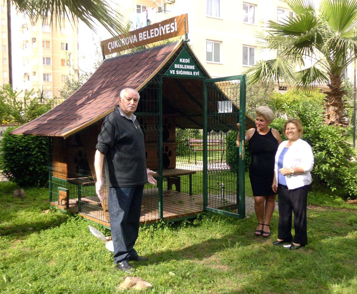 Parkta Kedi Evi