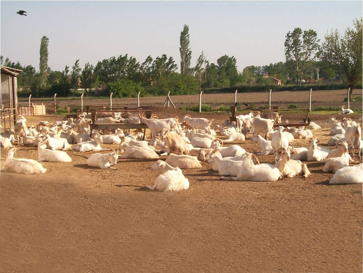 Sakarya\'nın Pamukova İlçesindeki Çiftçiler Trakya\'da İnceleme Gezisine Katıldı