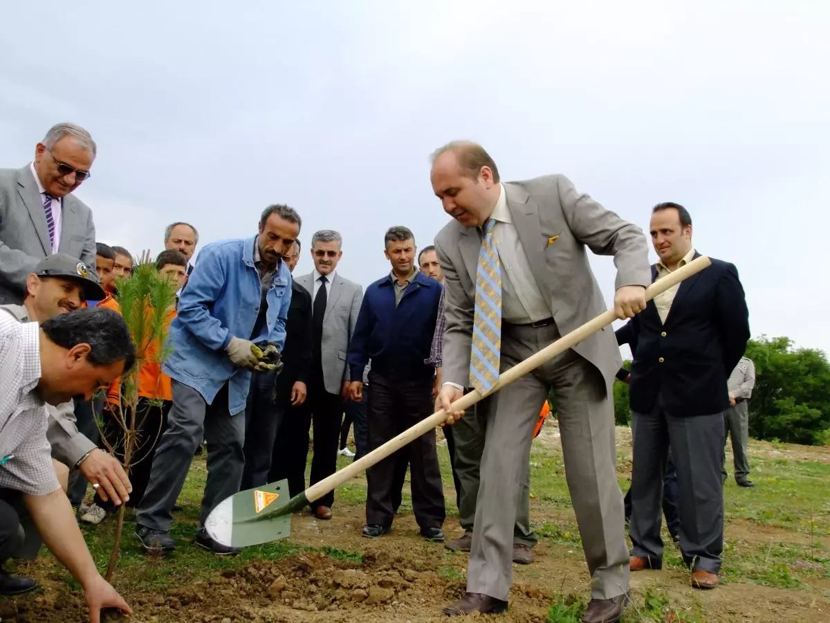 Sarı Çevre Köyüne Bin 200 Fidan Dikildi