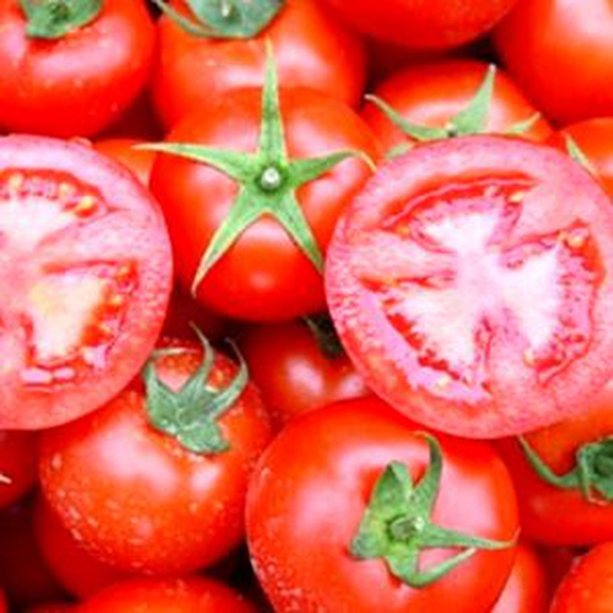 Sebzeler Grubunda En Yüksek Yeterlilik Domateste Gerçekleşti
