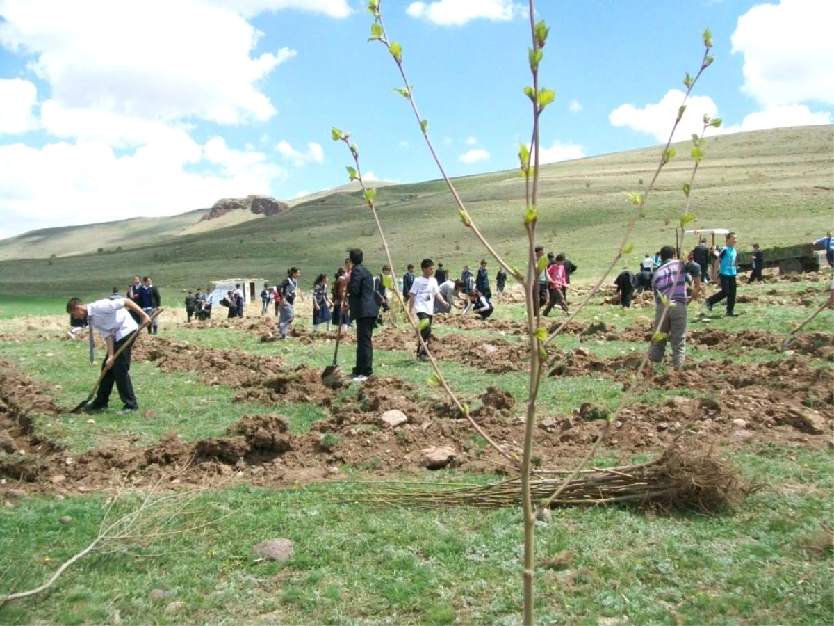 Şekerli\'de Bin Çam ve Huş Fidesi Toprakla Buluştu