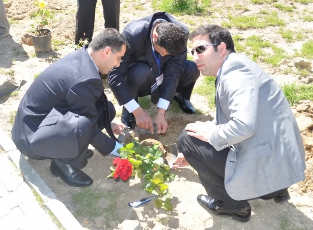 Sevgi Evleri\'nde Gül Dikimi