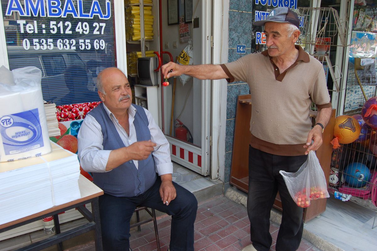 Sezonun İlk Kirazları Toplanıyor