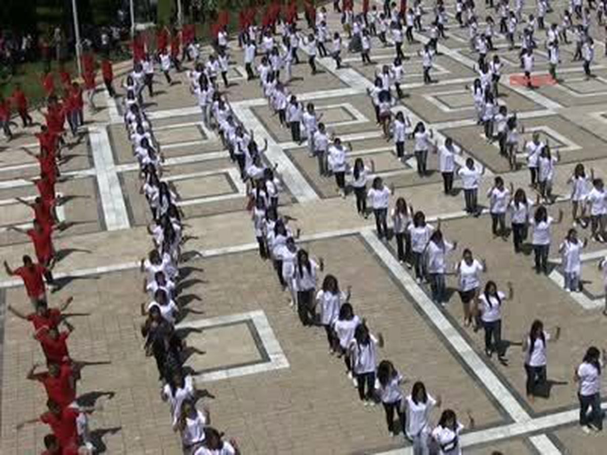 Üniversiteli 1250 Genç Zeybek Oynadı