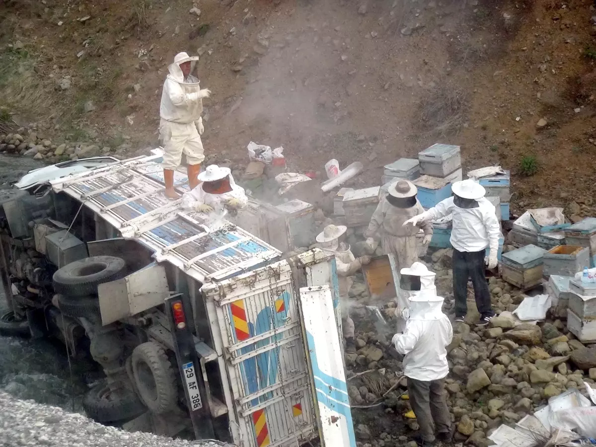 Erzincan\'da Kamyon Devrilince Arılar Karayolunu İstila Etti