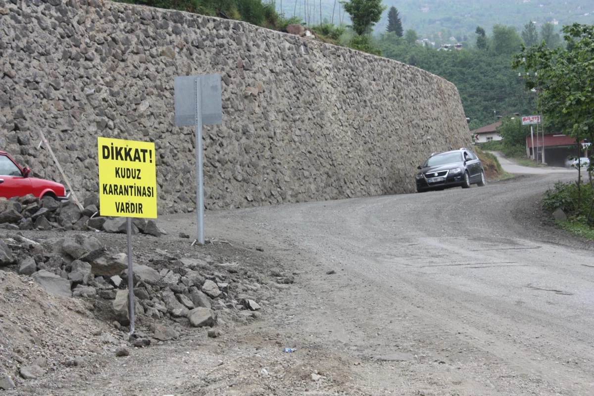 Giresun\'un Çanakçı İlçesi Kuduz Karantinasına Alındı