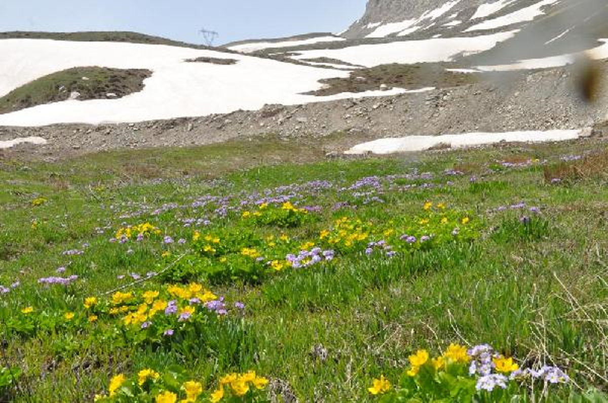 Hakkari\'de Dört Mevsim