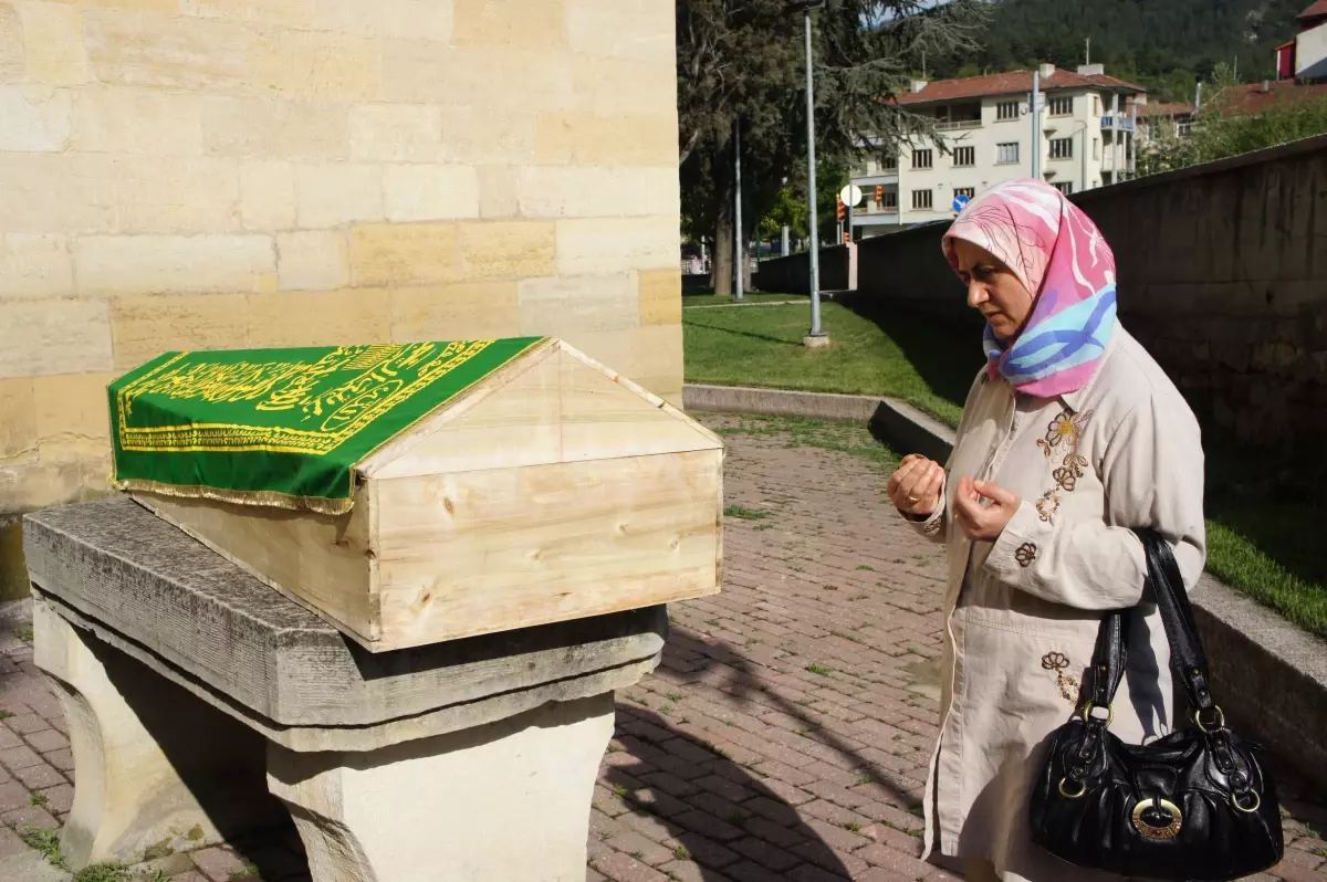 Kastamonu\'da Keneden Bir Kişi Öldü