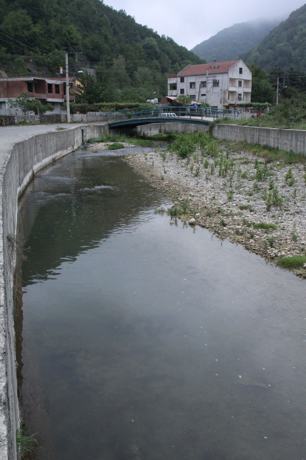 (Özel Haber) Canlı Balıklardaki İlginç Yaralar Korkutuyor