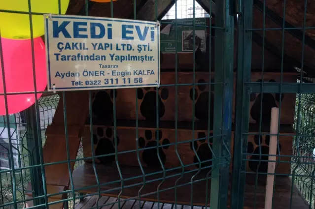 Türkiye’nin İlk ’Kedi Evi’ Adana’da Açıldı Son Dakika