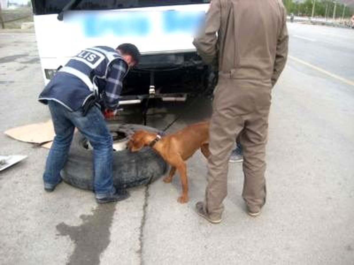 Uyuşturucu Satıcılarına Şafak Operasyonu