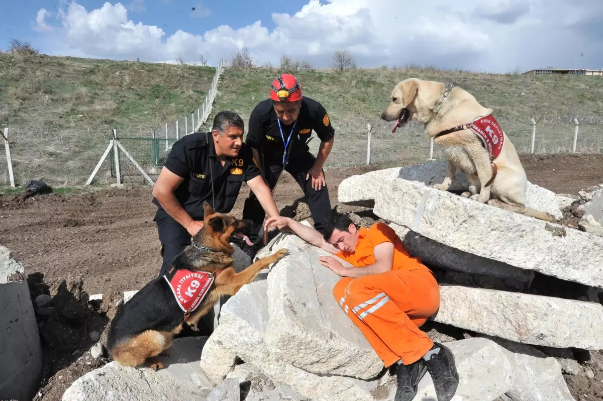 K-9 Eğitmenlerine 