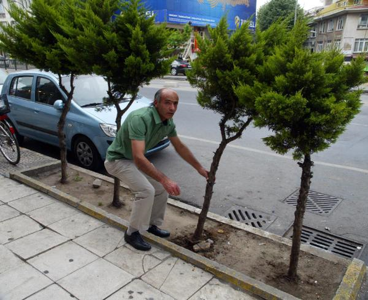 Kadıköy, Yaralarını Sarıyor