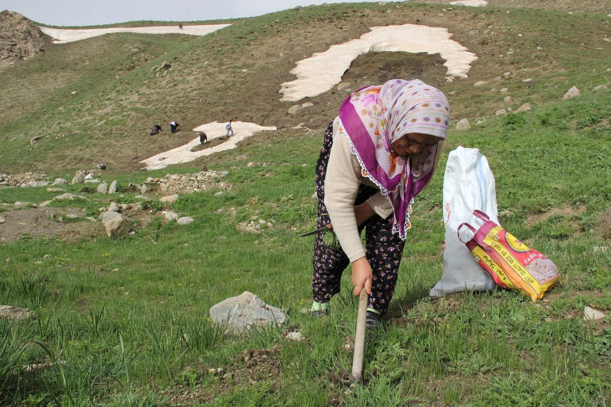 Anneler Günü\'nün Öteki Yüzü