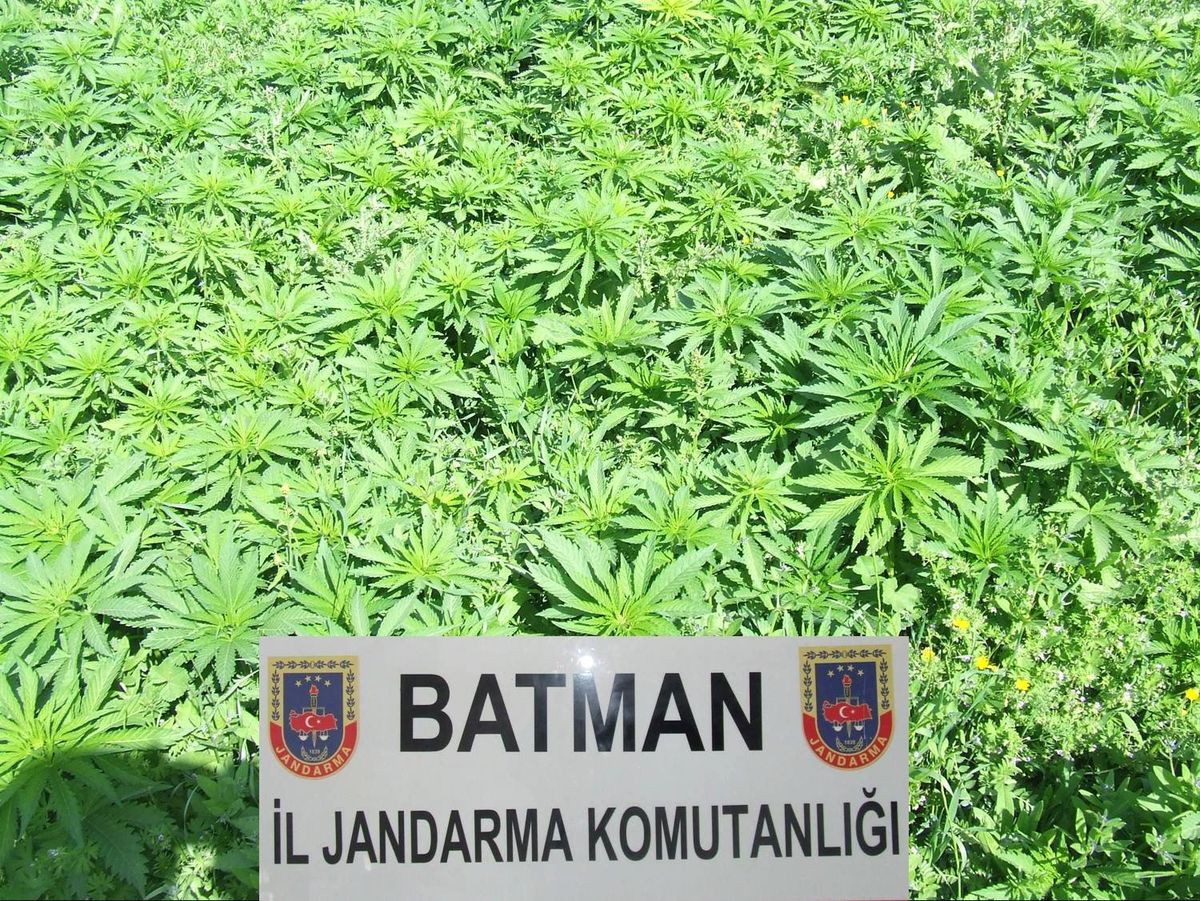 Batman'da Kenevir Operasyonu