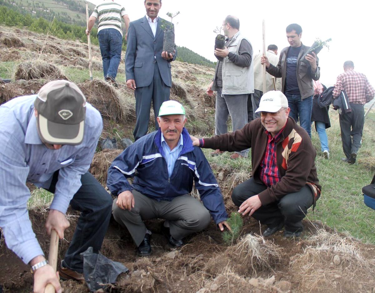 Beah Ormanı, Erzurum'un Havasını Temiz Tutacak