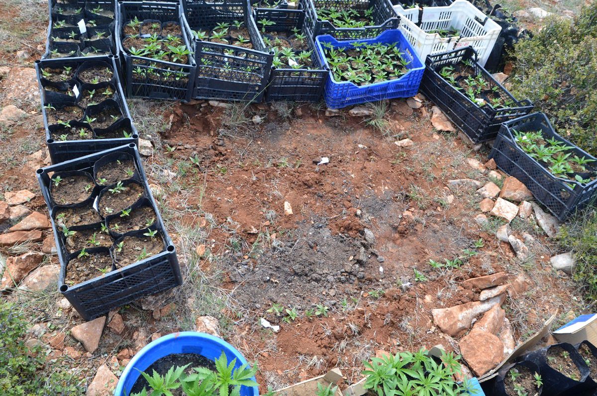Jandarma Ekiplerinden Kenevir Baskını