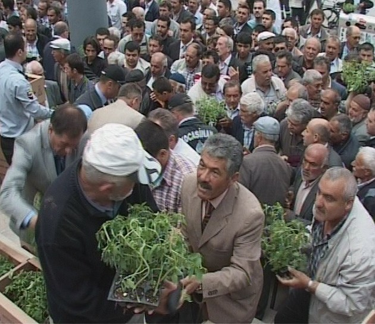Kocasinan Belediyesi 50 Bin Domates Fidesi Dağıttı