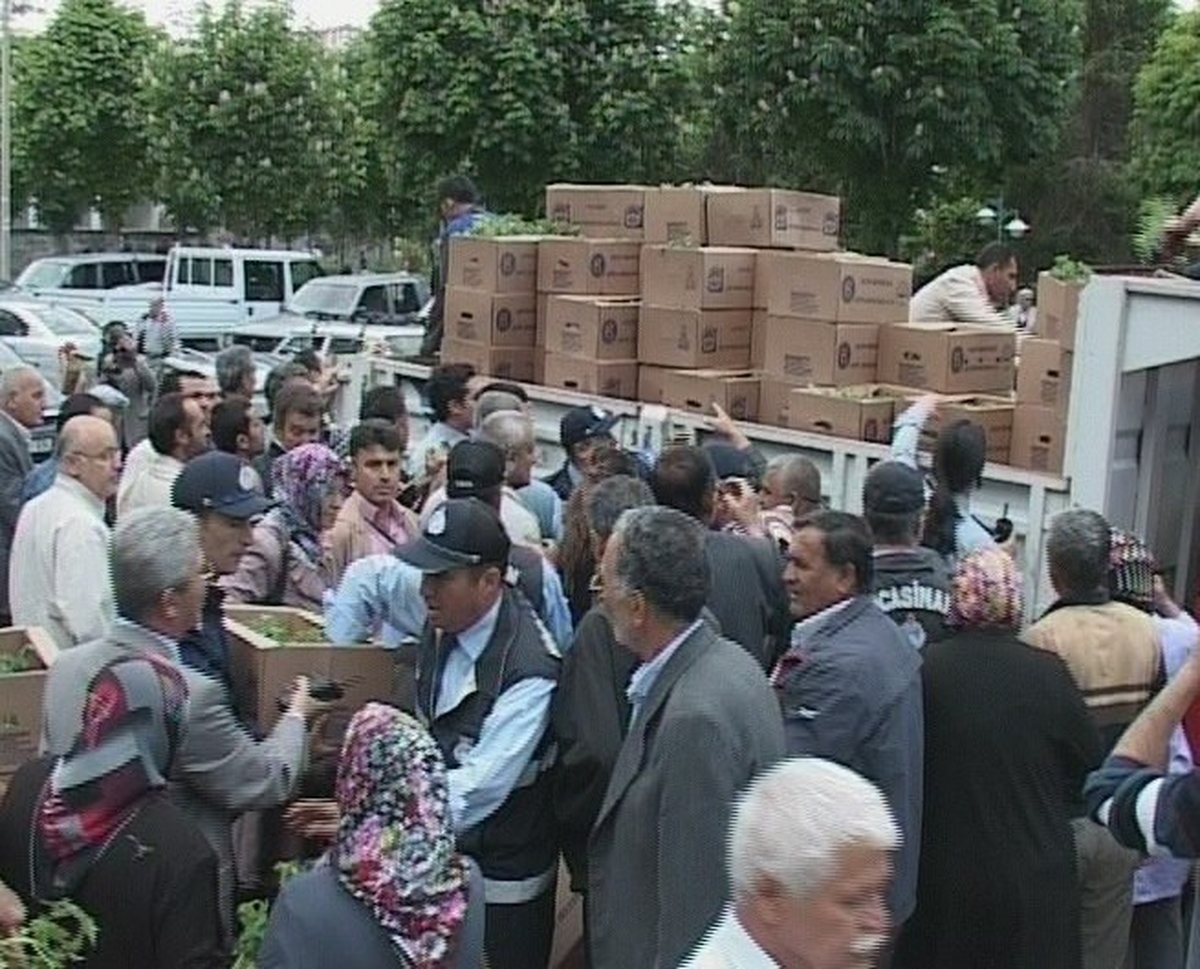 Kocasinan Belediyesi 50 Bin Domates Fidesi Dağıttı