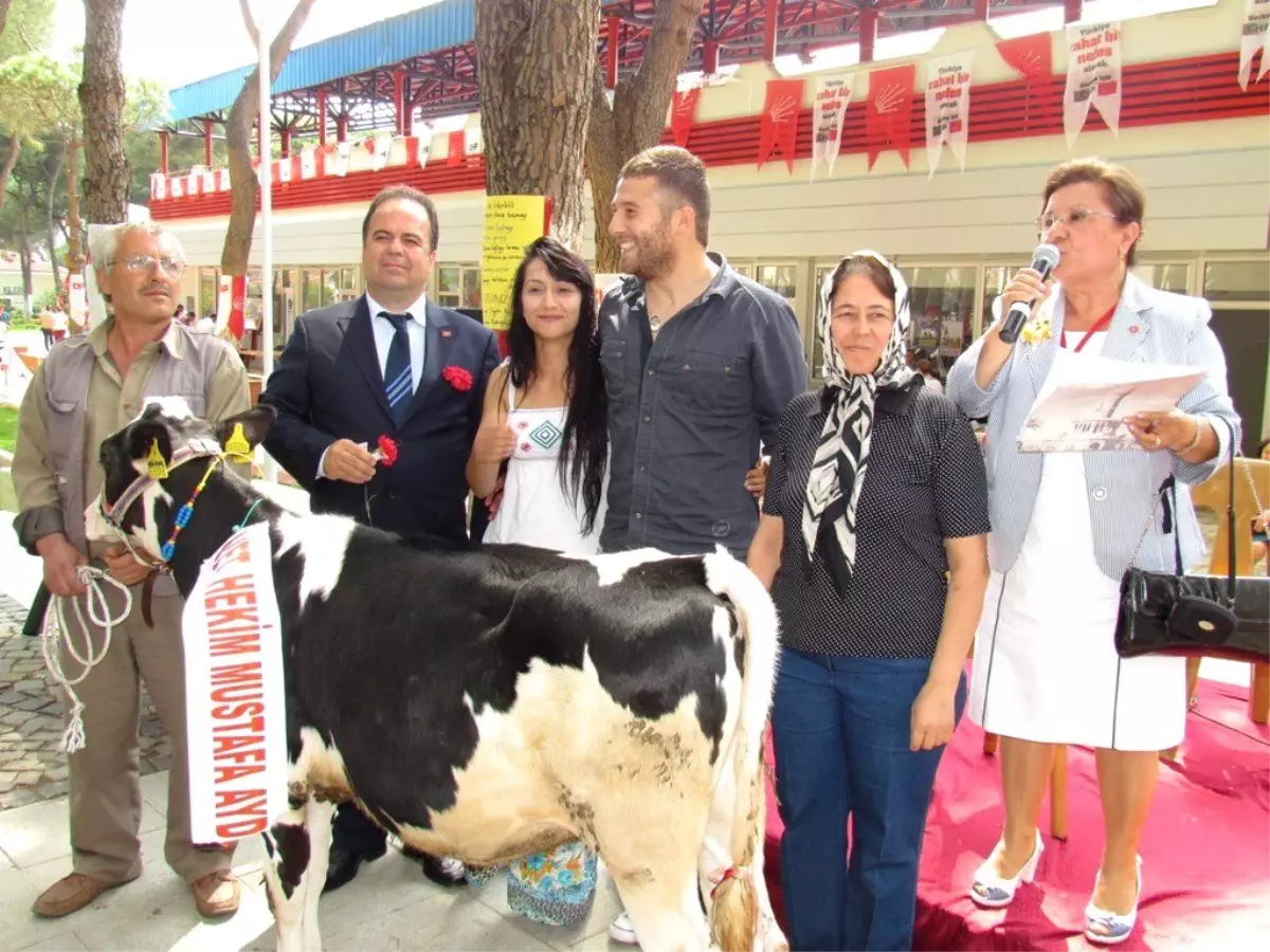 Ödemiş\'te Patates Yemek Yarışması Birincisini Düve Hediye Edildi