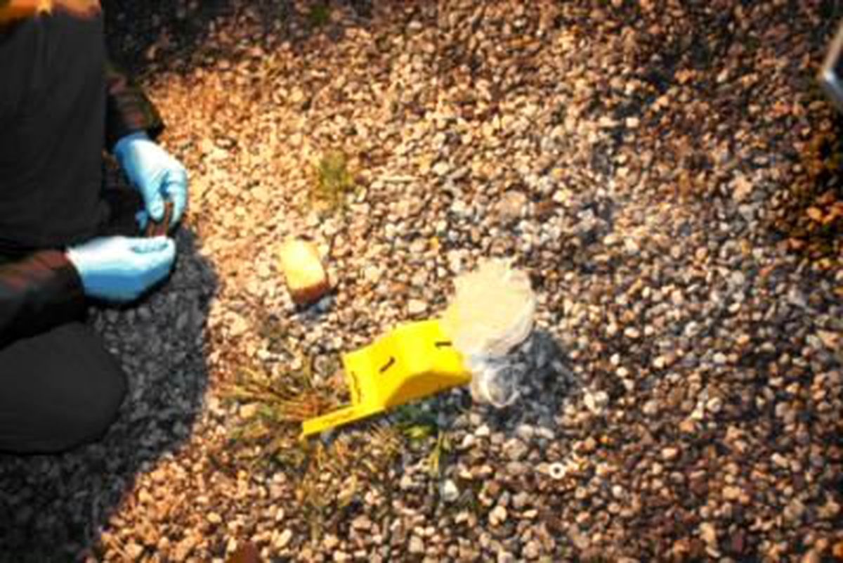 Teröristler Öğrenci Yurduna Saldırdı
