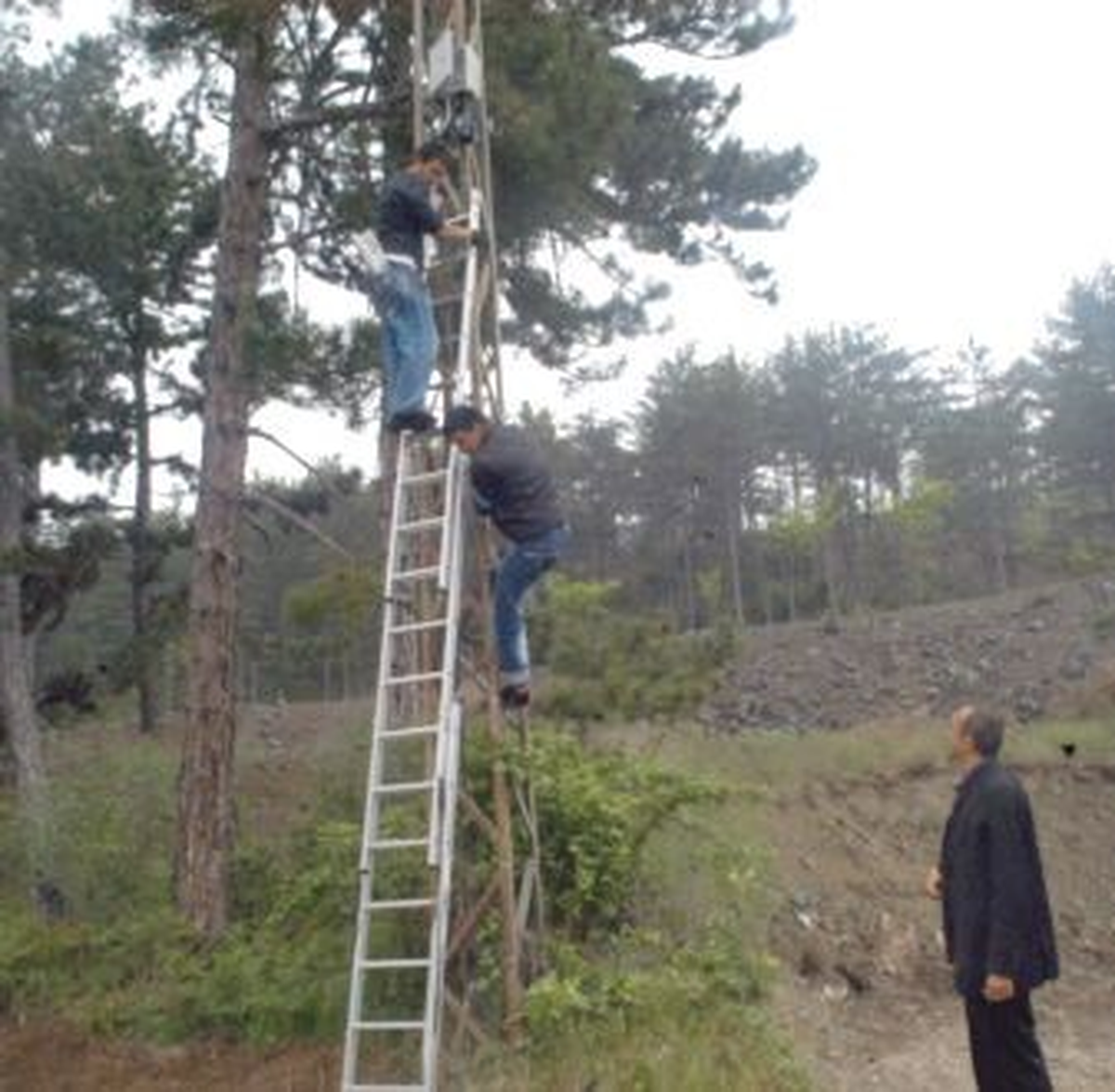 Orman Depoları Güvenlik Kameralarıyla İzleniyor