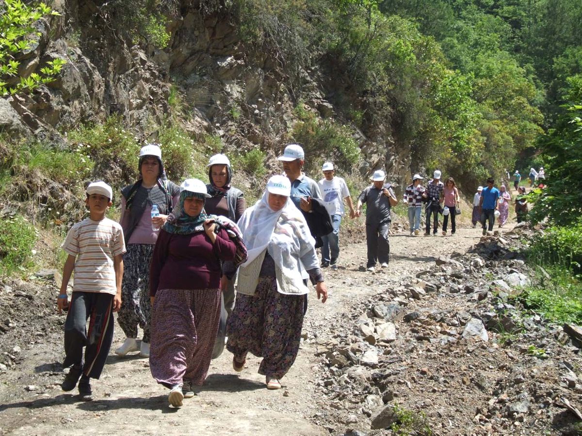 Sağlık İçin Dere Tepe Yürüdüler