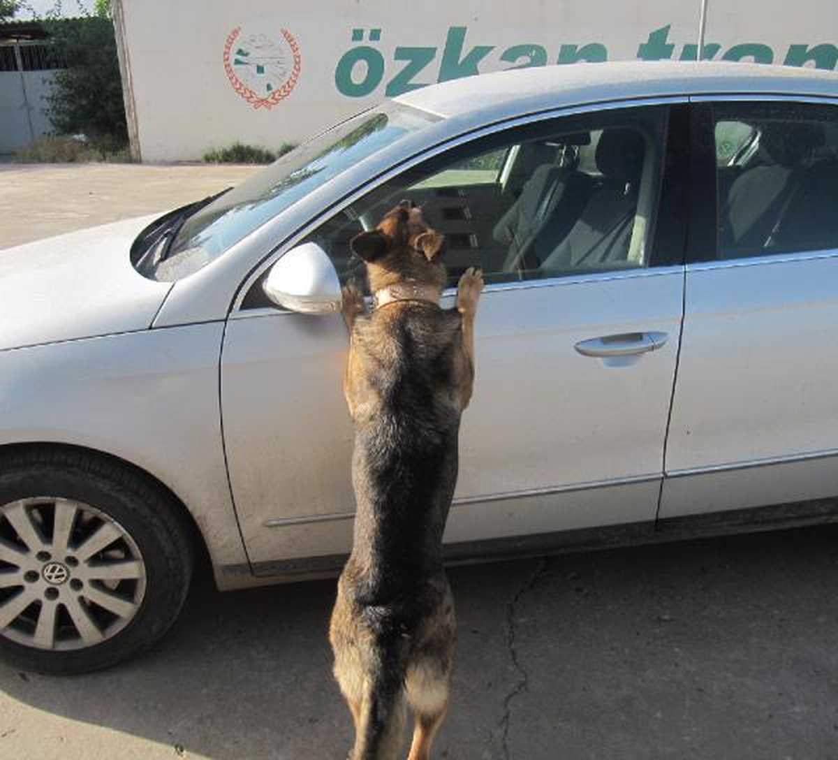 Şırnak'ta 24 Kilo Eroin Ele Geçirildi