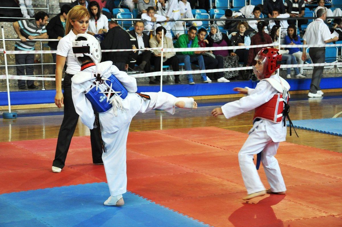 Düzce Taekwondo\'ya Doydu