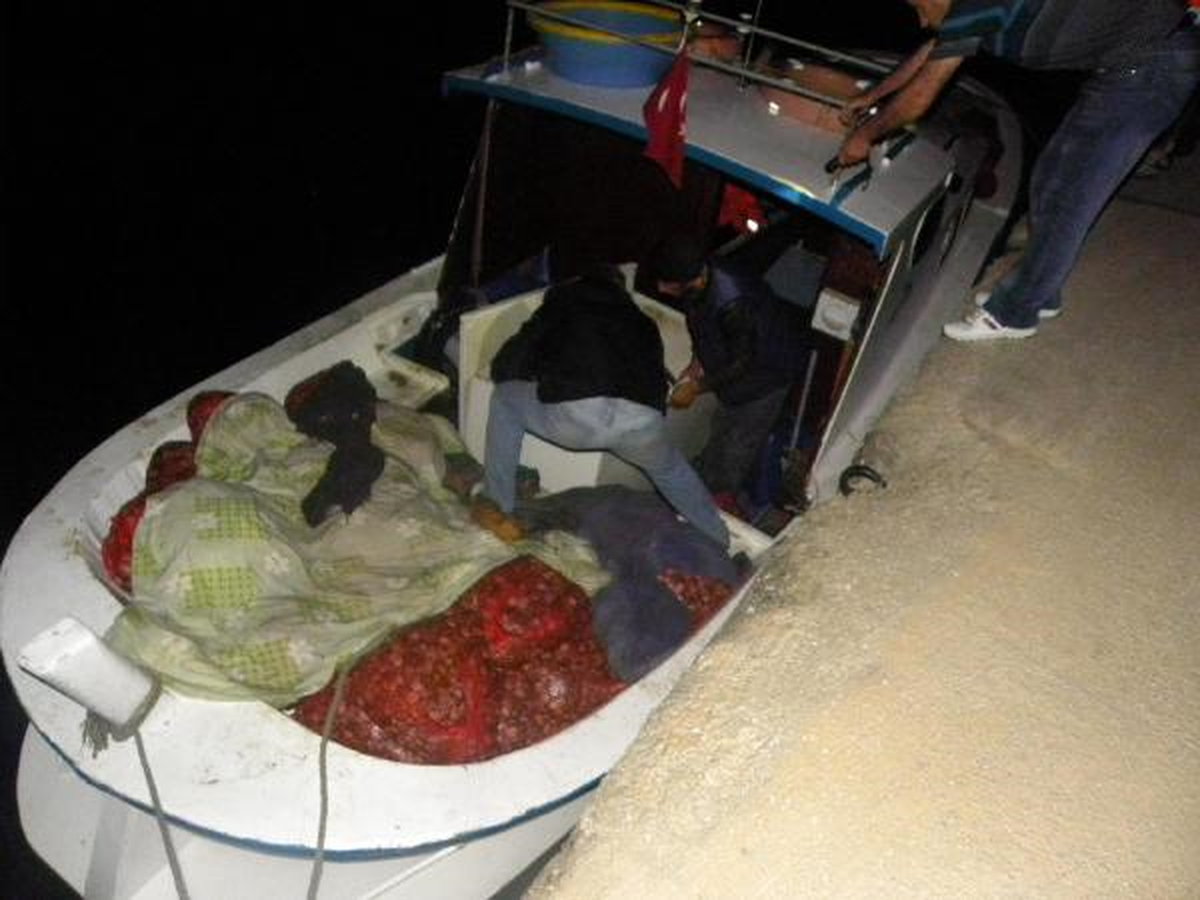 Enez\'de 2 Ton Kaçak Midye Ele Geçirildi